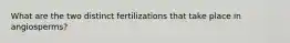 What are the two distinct fertilizations that take place in angiosperms?