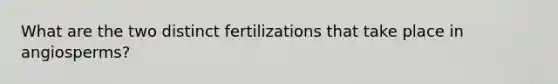 What are the two distinct fertilizations that take place in angiosperms?