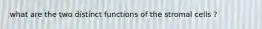 what are the two distinct functions of the stromal cells ?