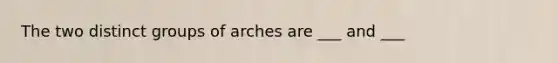 The two distinct groups of arches are ___ and ___