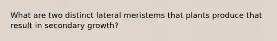 What are two distinct lateral meristems that plants produce that result in secondary growth?