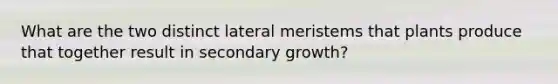 What are the two distinct lateral meristems that plants produce that together result in secondary growth?