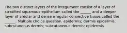 The two distinct layers of the integument consist of a layer of stratified squamous epithelium called the ______ and a deeper layer of areolar and dense irregular connective tissue called the ______. Multiple choice question. epidermis; dermis epidermis; subcutaneous dermis; subcutaneous dermis; epidermis