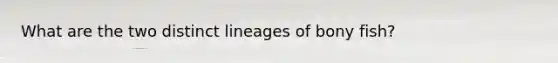 What are the two distinct lineages of bony fish?