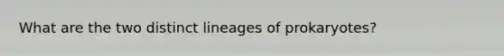 What are the two distinct lineages of prokaryotes?