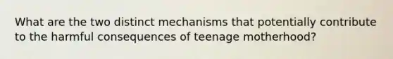 What are the two distinct mechanisms that potentially contribute to the harmful consequences of teenage motherhood?