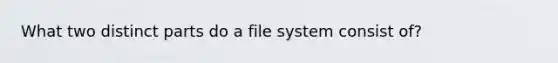 What two distinct parts do a file system consist of?