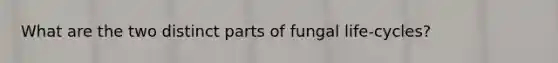 What are the two distinct parts of fungal life-cycles?