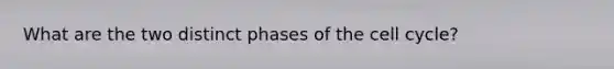 What are the two distinct phases of the cell cycle?