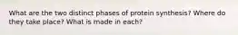 What are the two distinct phases of protein synthesis? Where do they take place? What is made in each?