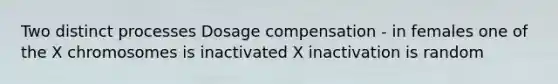 Two distinct processes Dosage compensation - in females one of the X chromosomes is inactivated X inactivation is random