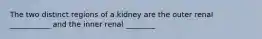 The two distinct regions of a kidney are the outer renal ___________ and the inner renal ________