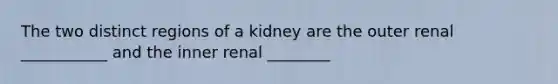 The two distinct regions of a kidney are the outer renal ___________ and the inner renal ________