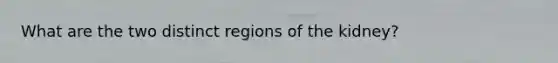 What are the two distinct regions of the kidney?