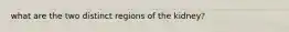 what are the two distinct regions of the kidney?