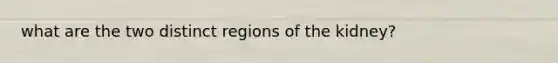 what are the two distinct regions of the kidney?