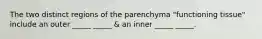 The two distinct regions of the parenchyma "functioning tissue" include an outer _____ _____ & an inner _____ _____.