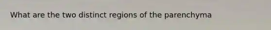 What are the two distinct regions of the parenchyma