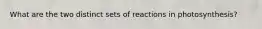 What are the two distinct sets of reactions in photosynthesis?