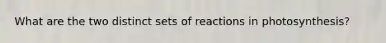 What are the two distinct sets of reactions in photosynthesis?