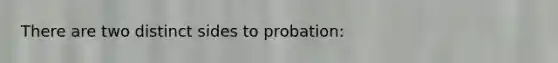 There are two distinct sides to probation: