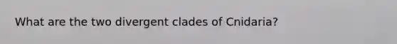 What are the two divergent clades of Cnidaria?