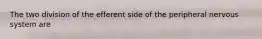 The two division of the efferent side of the peripheral nervous system are