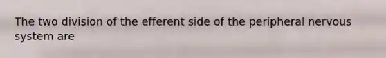 The two division of the efferent side of the peripheral nervous system are