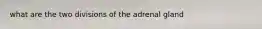 what are the two divisions of the adrenal gland