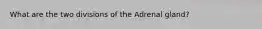 What are the two divisions of the Adrenal gland?