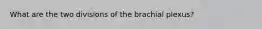 What are the two divisions of the brachial plexus?