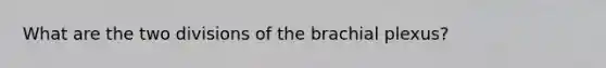 What are the two divisions of the brachial plexus?