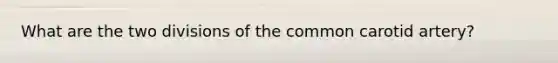 What are the two divisions of the common carotid artery?