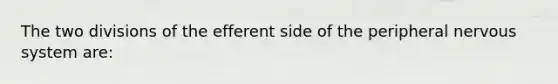 The two divisions of the efferent side of the peripheral nervous system are: