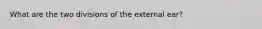 What are the two divisions of the external ear?