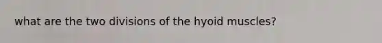 what are the two divisions of the hyoid muscles?