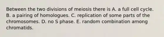 Between the two divisions of meiosis there is A. a full cell cycle. B. a pairing of homologues. C. replication of some parts of the chromosomes. D. no S phase. E. random combination among chromatids.