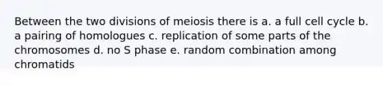 Between the two divisions of meiosis there is a. a full cell cycle b. a pairing of homologues c. replication of some parts of the chromosomes d. no S phase e. random combination among chromatids