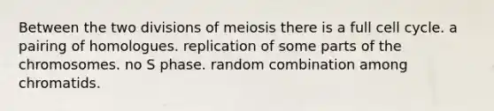 Between the two divisions of meiosis there is a full <a href='https://www.questionai.com/knowledge/keQNMM7c75-cell-cycle' class='anchor-knowledge'>cell cycle</a>. a pairing of homologues. replication of some parts of the chromosomes. no S phase. random combination among chromatids.