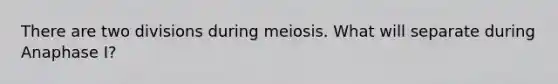 There are two divisions during meiosis. What will separate during Anaphase I?