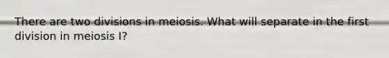 There are two divisions in meiosis. What will separate in the first division in meiosis I?