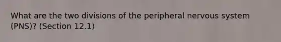 What are the two divisions of the peripheral nervous system (PNS)? (Section 12.1)