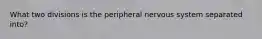 What two divisions is the peripheral nervous system separated into?