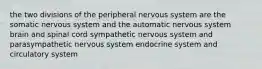 the two divisions of the peripheral nervous system are the somatic nervous system and the automatic nervous system brain and spinal cord sympathetic nervous system and parasympathetic nervous system endocrine system and circulatory system