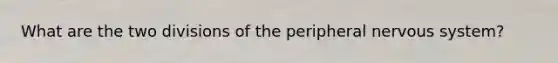 What are the two divisions of the peripheral nervous system?