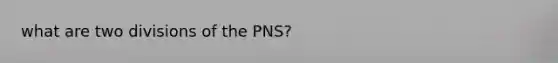 what are two divisions of the PNS?