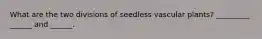 What are the two divisions of seedless vascular plants? _________ ______ and ______.