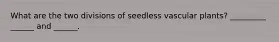 What are the two divisions of seedless vascular plants? _________ ______ and ______.