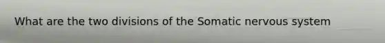 What are the two divisions of the Somatic nervous system