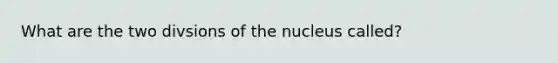 What are the two divsions of the nucleus called?